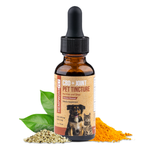 HempWorx CBD pet tincture, bacon-flavored full-spectrum CBD oil for dogs and cats.